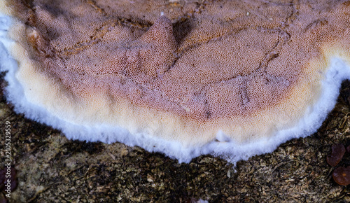 Bild auf Leinwand New Jersey, USA