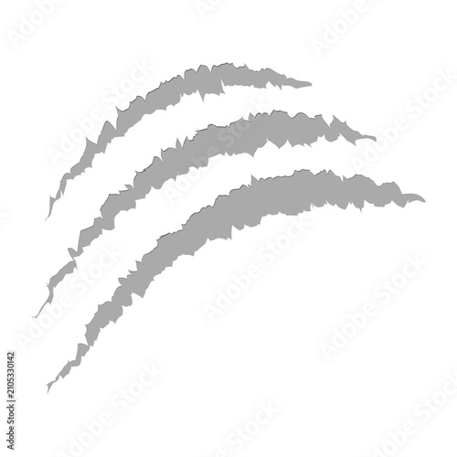 Foto Single black claw mark vector graphic