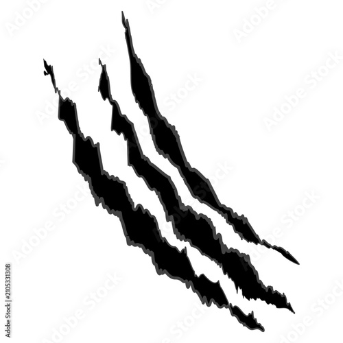 Photography Single black claw mark vector graphic