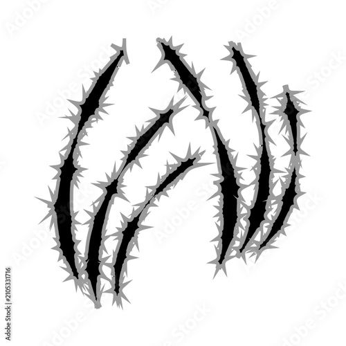 Foto Single black claw mark vector graphic
