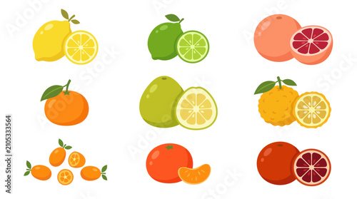 Fotografie Assorted citrus fruits collection