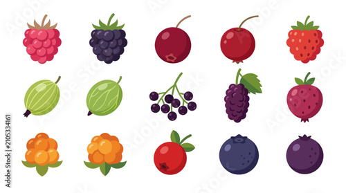 Assorted fresh berries collection