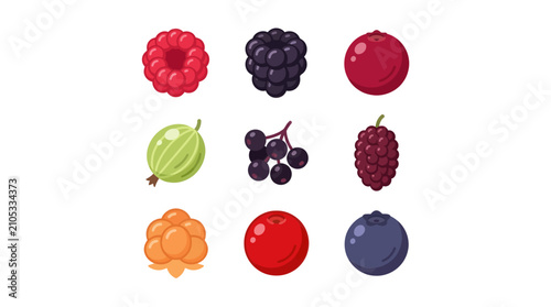 Assorted fresh berries collection