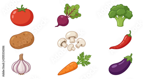 Assorted fresh vegetable collection