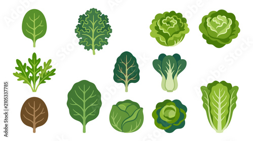 Quadro su tela Assorted leafy greens collection
