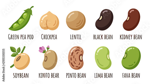 Assorted legumes variety collection