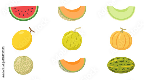 Assorted melon and fruit slices collection