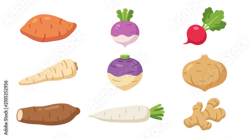 Bild auf Leinwand Assorted root vegetables collection