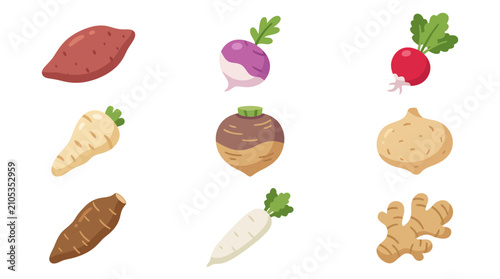 Foto Assorted root vegetables collection