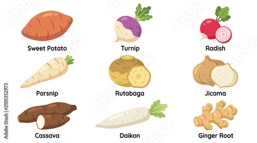 Foto Assorted root vegetables collection