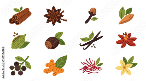 Foto Assortment of culinary spice ingredients collection