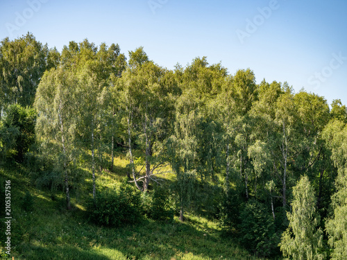 the beauty of the Russian land. The nature of the native land.The forest is a river on a summer day.