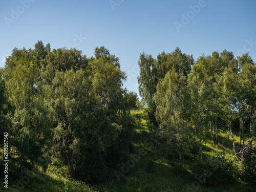 the beauty of the Russian land. The nature of the native land.The forest is a river on a summer day.