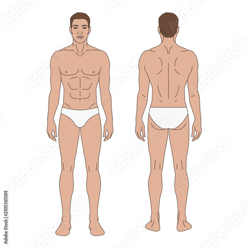 Foto Flat vector illustration of an adult male body template with front and back views in a light medium skin tone