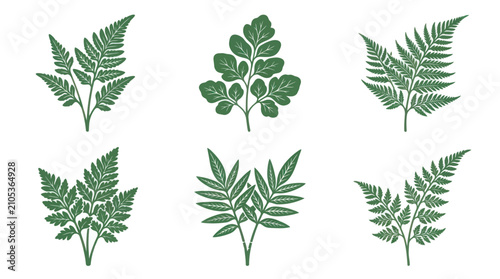 Konstfotografi Green botanical leaf illustration set