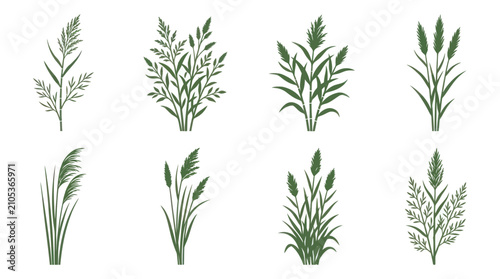 Tableau sur toile Green grass plant collection