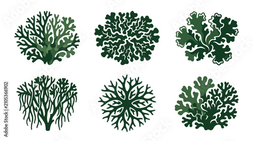Green plant moss patterns
