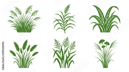 Canvastavla Green plant clipart collection