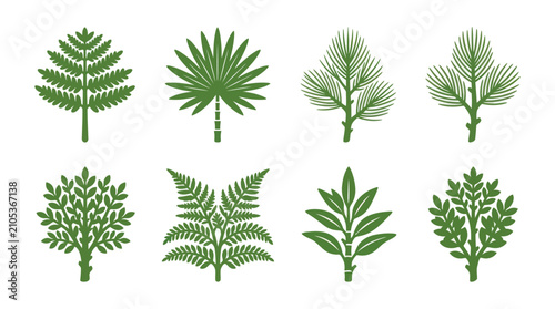 Konstfotografi Green leafy plant sprigs
