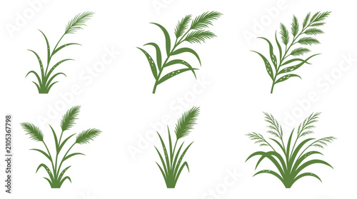 Photos Green plant illustrations