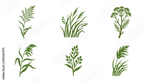 Bild auf Leinwand Green plant silhouettes collection
