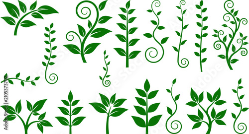 Set of green plant silhouettes branches vines and leaf vector elements for organic eco friendly graphic design