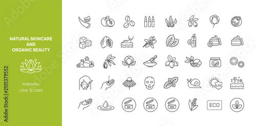 Eco Cosmetic Ingredients Line Icons Set. Natural Skincare and Organic Beauty