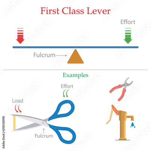 First Class Lever Diagram with Fulcrum, Load, Effort and Everyday Examples Educational Physics Vector Illustration.