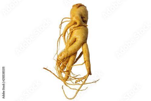 Bild auf Leinwand Korean ginseng isolated on a transparent background.