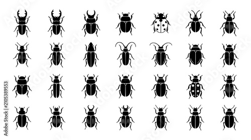 Vászonkép Collection of Diverse Beetle Insect Silhouettes on White Background