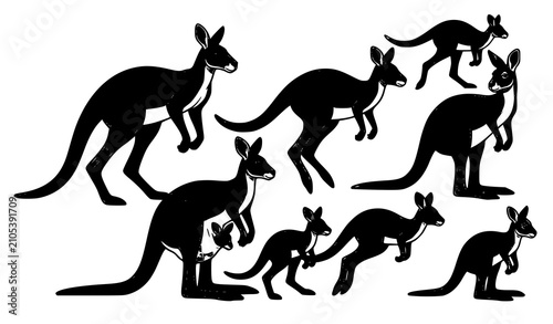 Photography Kangaroo Silhouette Collection with Different Poses Wildlife Animal Vector Set o
