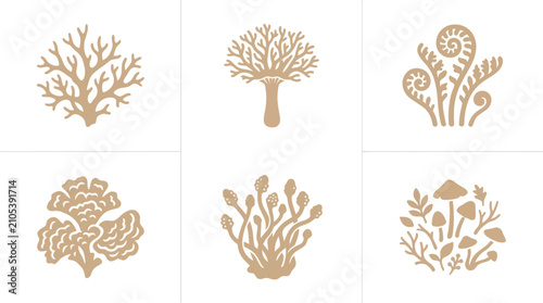 Foto Stylized botanical and fungal illustrations