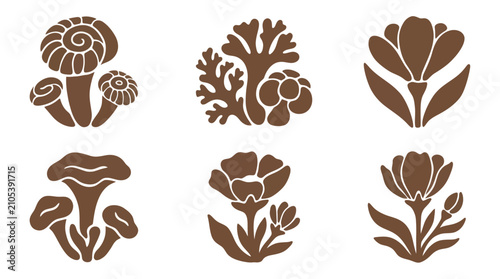 Fotografía Stylized botanical and fungal illustrations