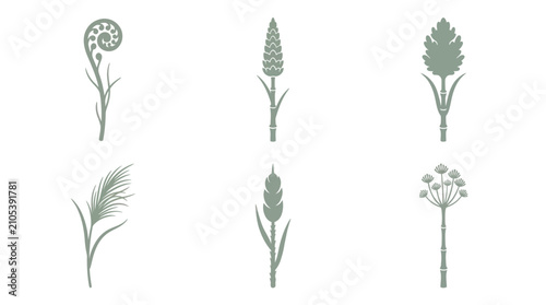 Foto Stylized botanical elements collection