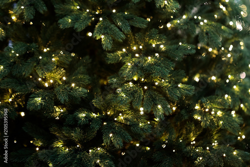 close up of Christmas tree with lighted garland