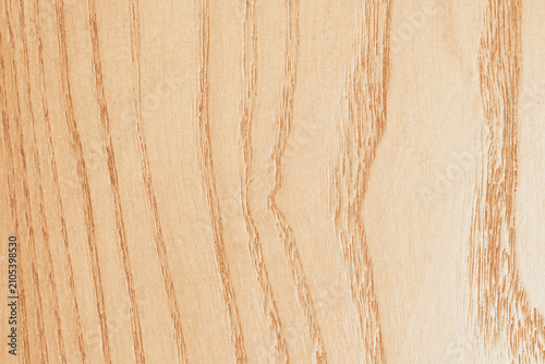 Obraz na płótnie Horizontal close up macro view of a pale beige wood texture with clean natural a