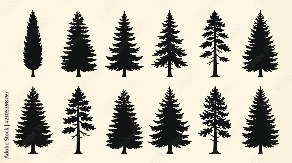 Obraz premium Collection of evergreen tree silhouettes