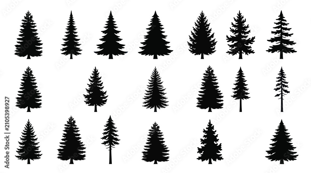 Obraz premium Collection of evergreen tree silhouettes