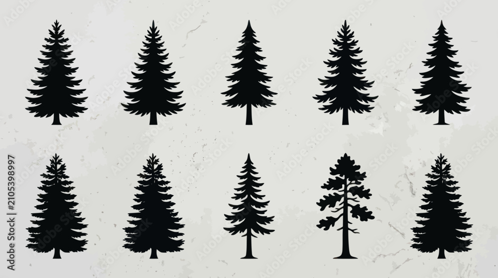 Obraz premium Collection of evergreen tree silhouettes