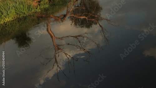 Bare tree branches and clouds reflected in gently rippling river water beside a grassy bank