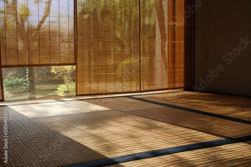 Sunlight filtering through bamboo blind sudare soft shadows summer Japanese