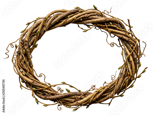 Organic Twisted Willow Vine Oval Frame with Buds Isolated on White Background
