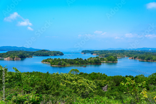 Canvastavla Panoramic view of Ago Bay from Kirigaki Observatory