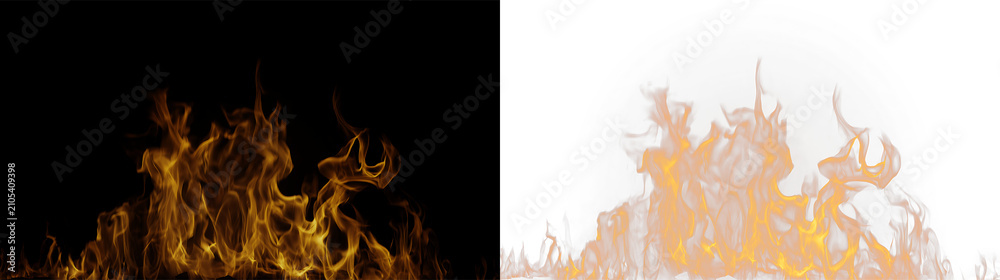 Fototapeta premium Flames rising from a fire on a transparent background with orange and white colors