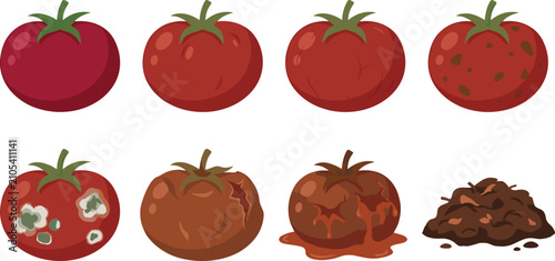 Quadro su tela Tomato Fruit Decay and Decomposition Stages Vector Icon Set Featuring Fresh Vege