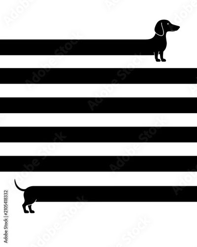 Foto Minimalist optical illusion of an extremely long dachshund blending into horizontal black stripes, creating a playful visual pun about the breed’s famously elongated body
