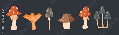 Schilderij op canvas Cute Cottagecore Mushroom Clipart Set