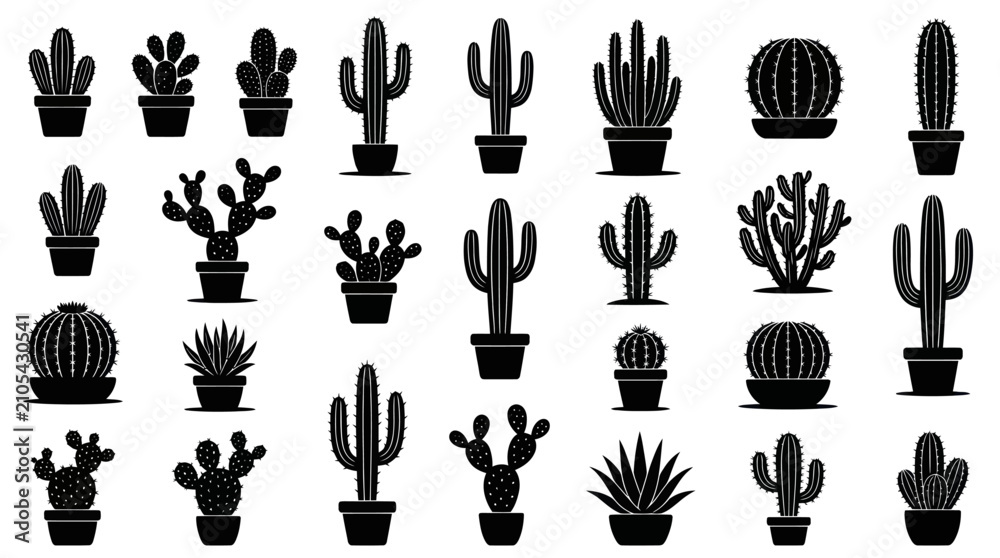Obraz na płótnie Colorful patterned cactus collection