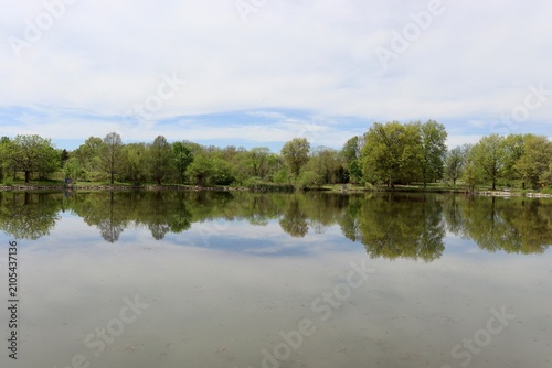 A quiet pond in the woods on a sunny day.