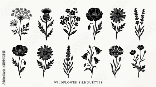 Bild auf Leinwand Floral silhouette collection